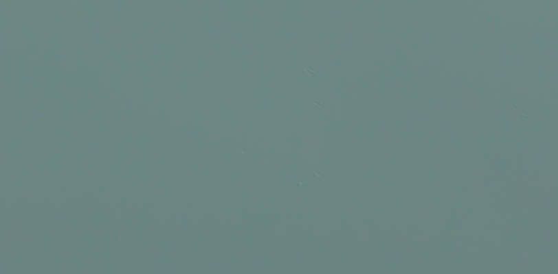 Laminate kingdom màu trơn LK 1157 D